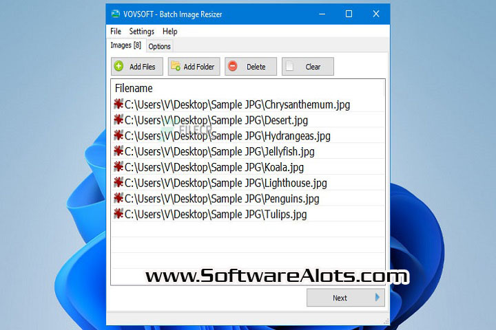 Vovsoft Batch Image Resizer 1.5 PC Software with patch