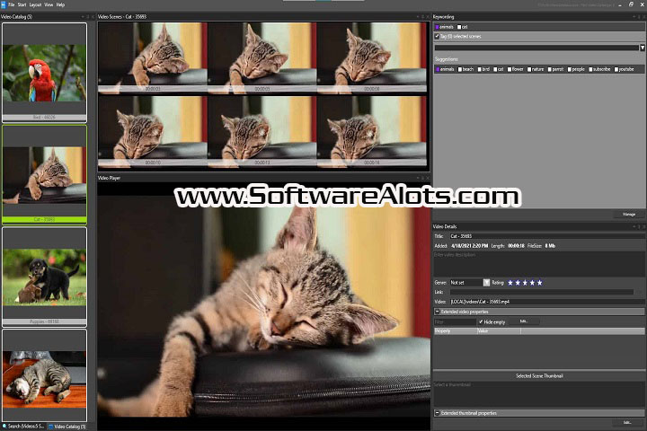 Fast Video Cataloger 8.5.4.0 PC Software with patch